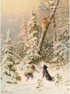 Hunting The Wild Cat