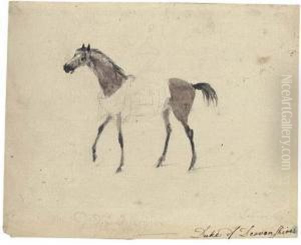 A Racehorse In Profile To The Left - view 1