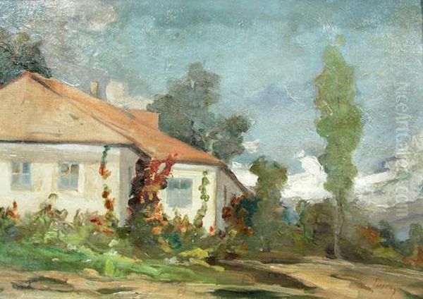 House - view 1