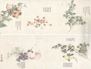 Flowers And Fruit by Jiang Tingxi