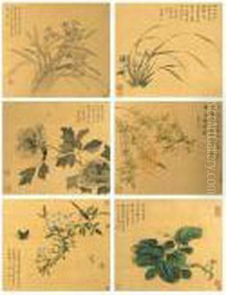 Flowers, Birds And Insects - view 1