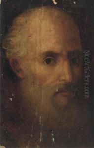 Head Of A Bearded Man