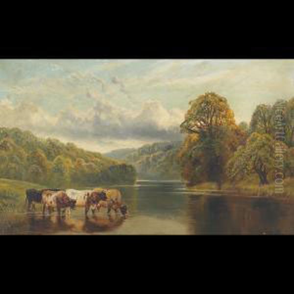 Cattle Watering In A Lake - view 1