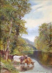 Tippet Cattlewatering In A River by William Vivian Tippet