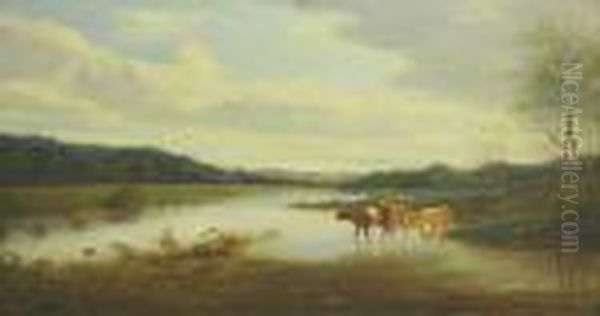 Tippet Cattle Inthe River - view 1