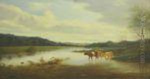 Tippet Cattle Inthe River by William Vivian Tippet