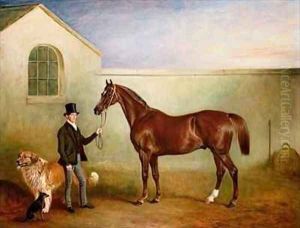 Mr Meakin holding Sir Robert Peels Chestnut Hunter with his dogs Hector and Jem