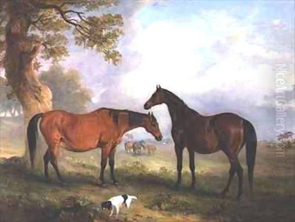 Brood Mares at Grass - view 1