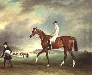 The Cur chestnut racehorse with jockey up on Newmarket Heath