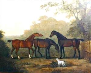 Hunters at Grass by John Snr Ferneley