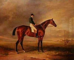 Priam, a bay racehorse ridden by Sam Day