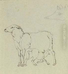 Mutterschaf Mit Lamm by Johann Heinrich Wilhelm Tischbein I
