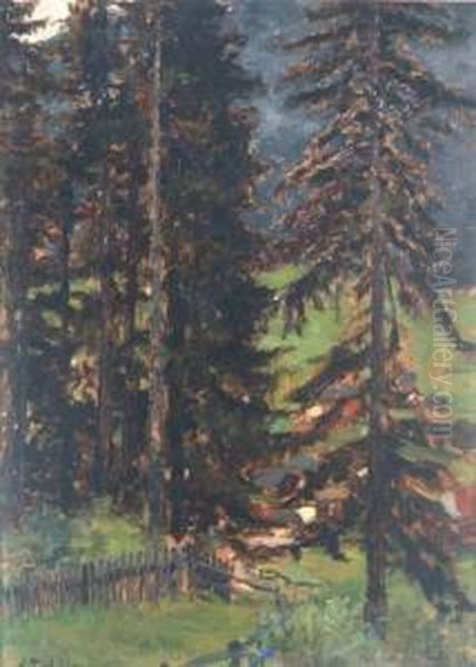 Waldlandschaft - view 1