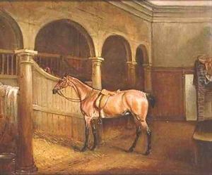 Lord Villiers Roan Hack in the Stables at Middleton Park by John Snr Ferneley