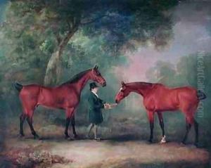 Hunters being fed by a Groom in a Woodland Setting by John Snr Ferneley