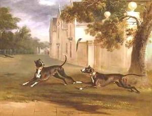 The Earl of Brownlows two Bull Terriers Nelson and Argo by John Snr Ferneley