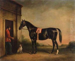 Vitellus, a black hunter, held by a groom, with a dog outside a stable