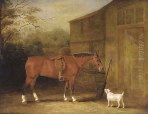 A bay hunter and a dog outside a stable