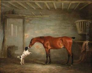 A bay Hunter with a Poodle in a Stable