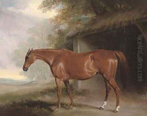 A chestnut hunter outside a stable