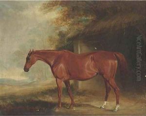 A chestnut mare outside a stable