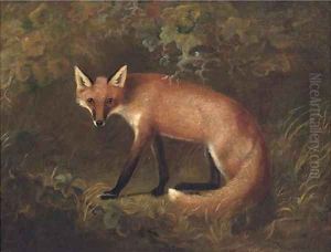 A fox in shrubbery