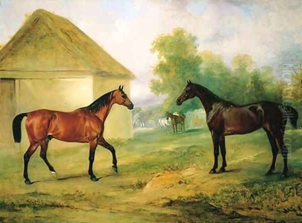 Lord Robert Grosvenor's hunters at Moor Park, Rickmansworth, Hertfordshire - view 1