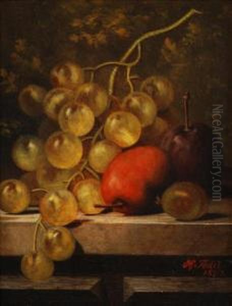 Still Life Ofplums And Grapes - view 1
