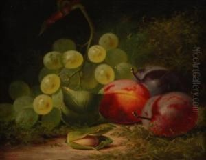 Still Life Ofgrapes, Plums And Almond