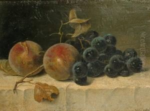 Sill Life Of Fruit On A Table Cloth
