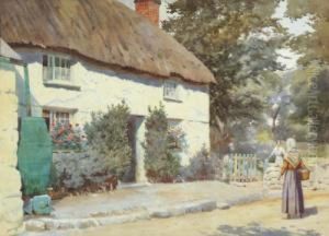 The Cottage In The Lane The Cottage In The Lane