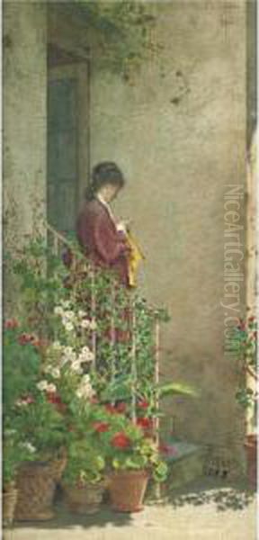 A Summer Morning - view 1