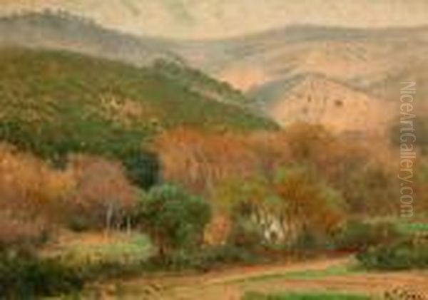 Paisaje De Montana - view 1
