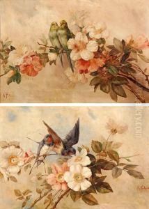Flores Flores