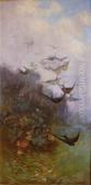 Pajaros - view 1