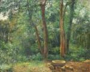 "bosque De Liavaneras"
