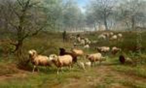 Bewaldete Landschaft Mit Schafherde by Jan Bedijs Tom