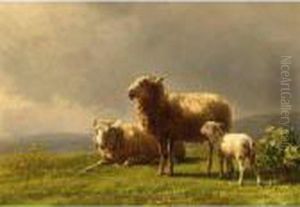 Sheep In A Meadow by Jan Bedijs Tom