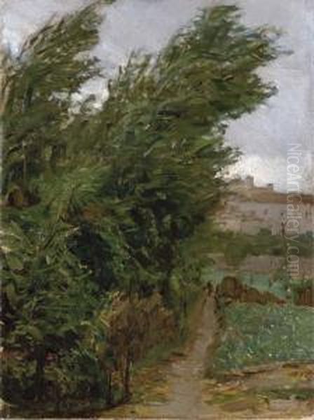 Colpo Di Vento - view 1