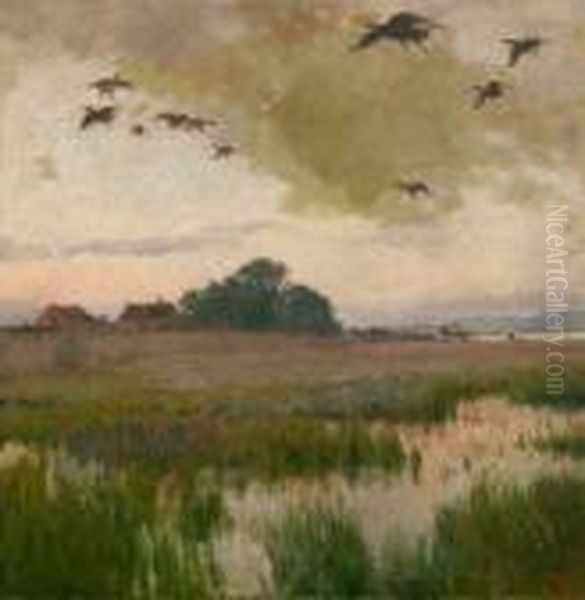 Aulandschaft Mit Enten - view 1