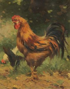 Il Gallo