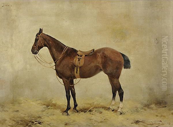 Cavallo Da Corsa - view 1