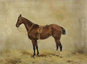 Cavallo Da Corsa