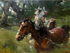 Cavalli Al Galoppo