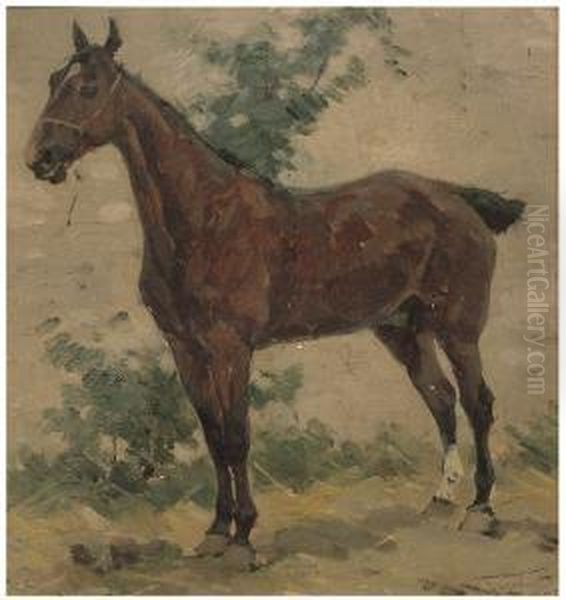 Cavallo - view 1