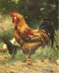 Il Gallo In Cortile