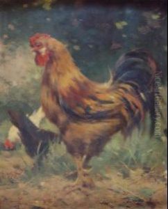 "il Gallo"