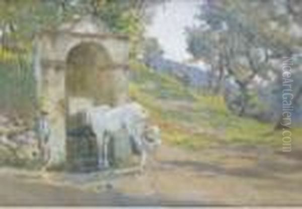 Cavallo E Contadino Alla Fonte - view 1