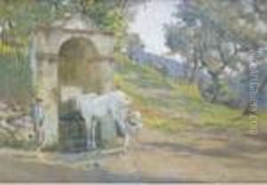 Cavallo E Contadino Alla Fonte