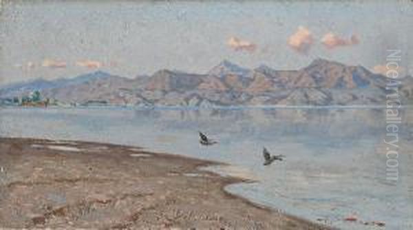 Le Alpi Apuane Viste Dallago Di Massaciuccoli - view 1